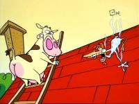 Cow And Chicken